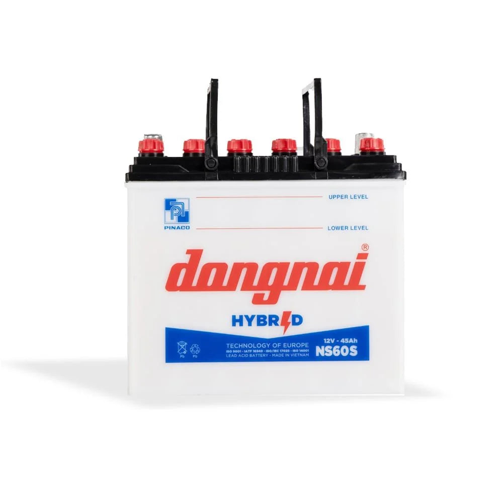 PINACO / Dong Nai Hybrid Battery - NS60