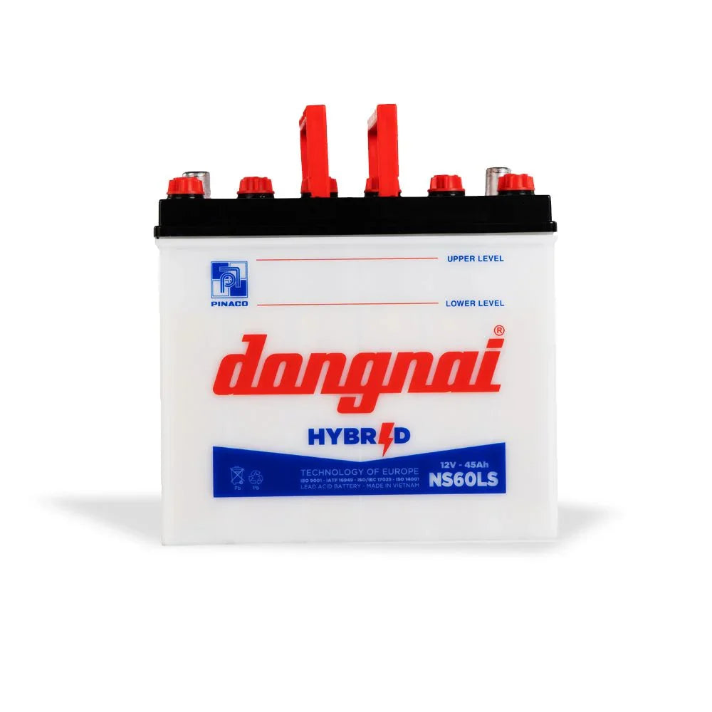 PINACO / Dong Nai Hybrid Battery - NS60