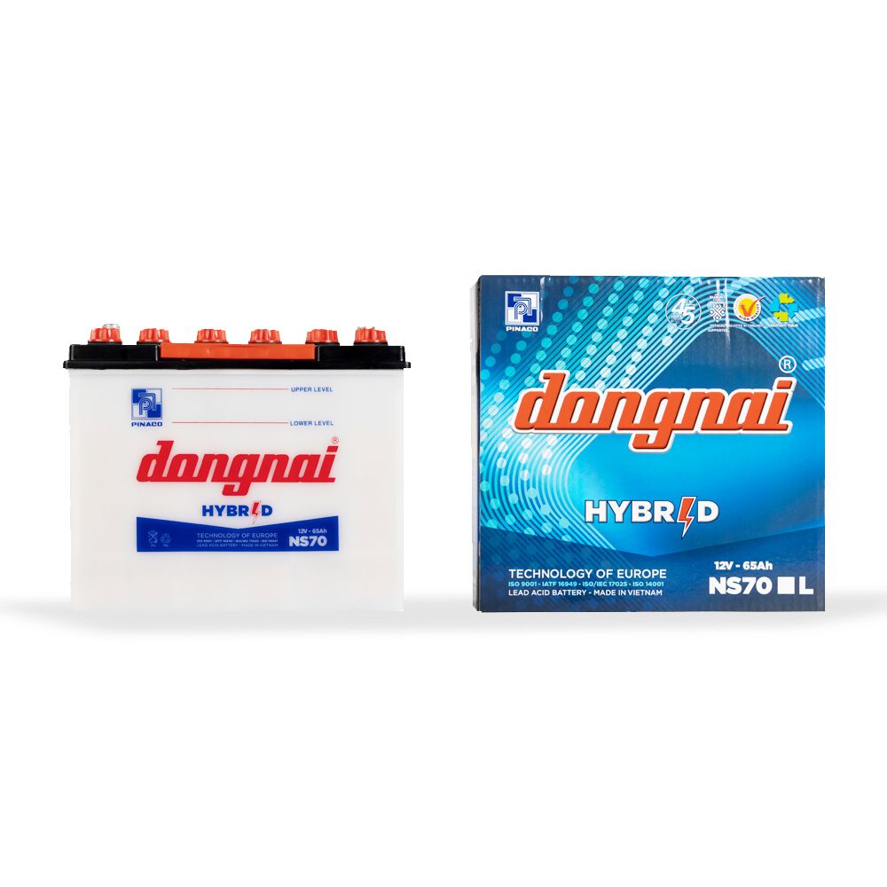 PINACO / Dong Nai Hybrid Battery - N50 / NS70
