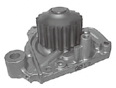CỤM BƠM NƯỚC  - D13B / A0548