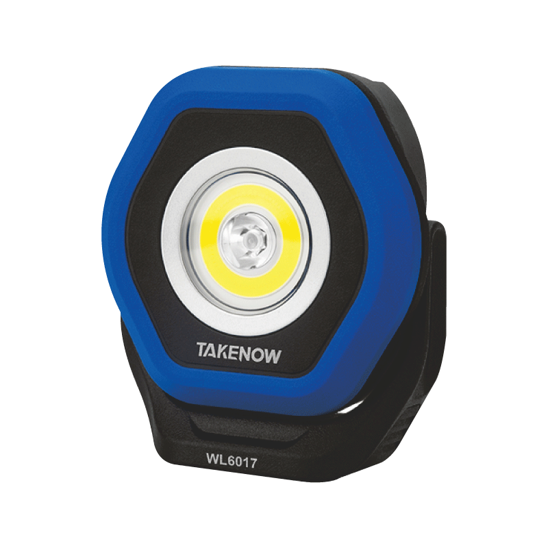 TAKENOW - FLOOD & AREA LIGHT - TK-WL6017-FL