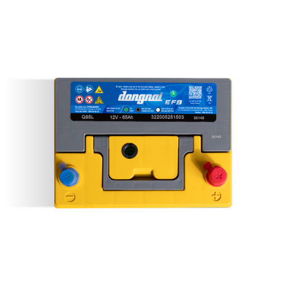 PINACO / Dong Nai EFB Maintenance-Free Battery - Q85L